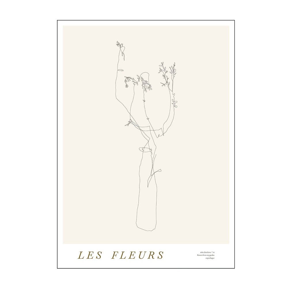 Poster & Frame  Mie & Him Juliste 30x40 cm Les fleurs 02