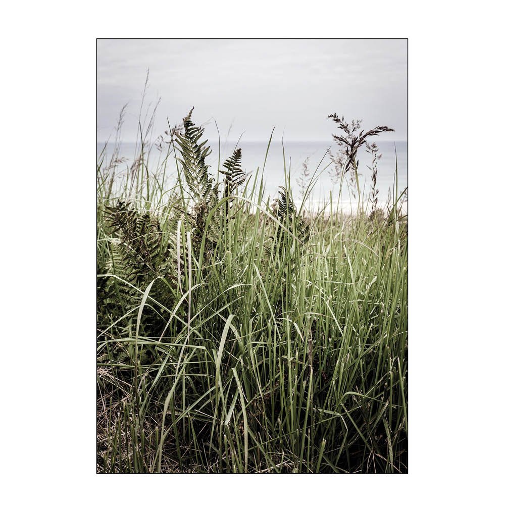 Poster & Frame  Foto Factory Juliste 30x40 cm Svinkløv