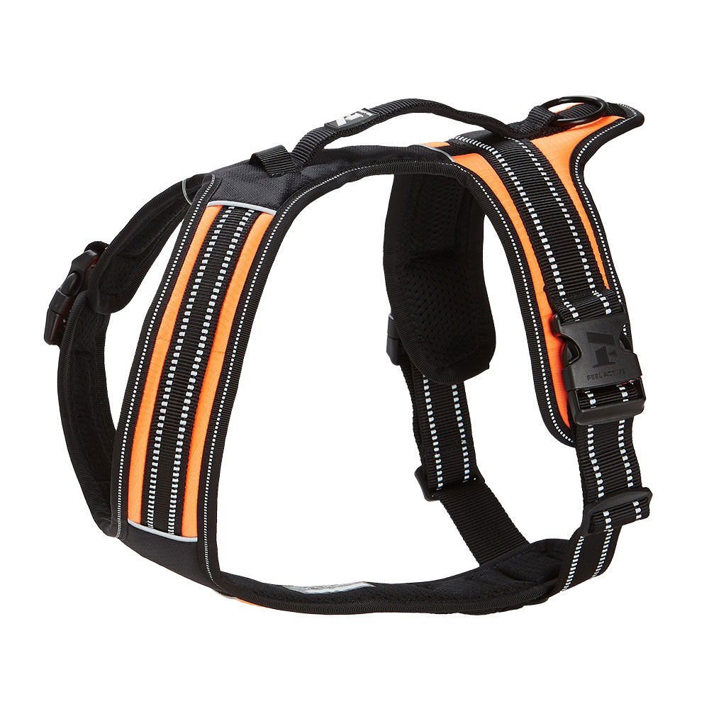 Koiran valjaat FA Sport, oranssi