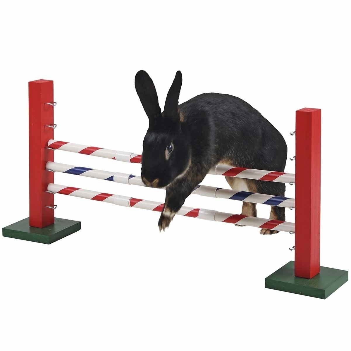 Kanin agilityeste Kerbl