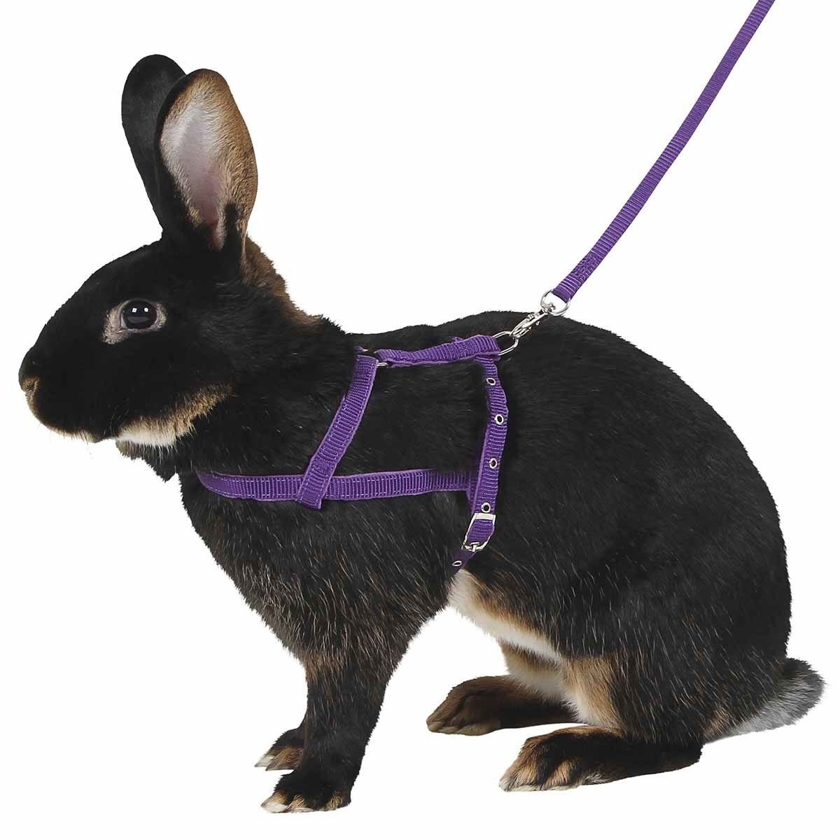 Kanin lapavaljaat Kerbl