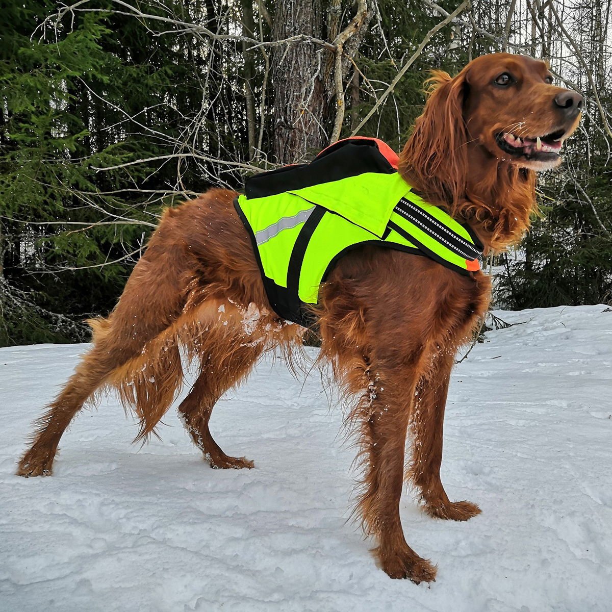 Kardog-kelluttava GPS-liivi Jehu
