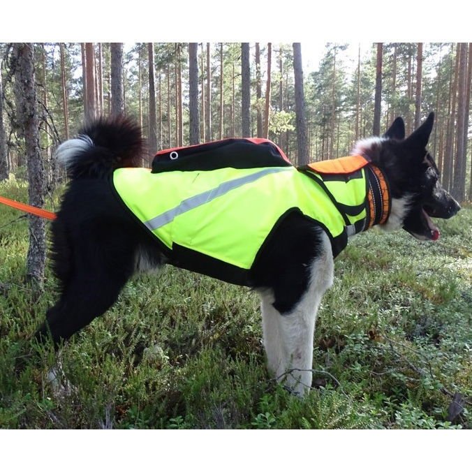 Kevlar-liivi koiralle, Kardog