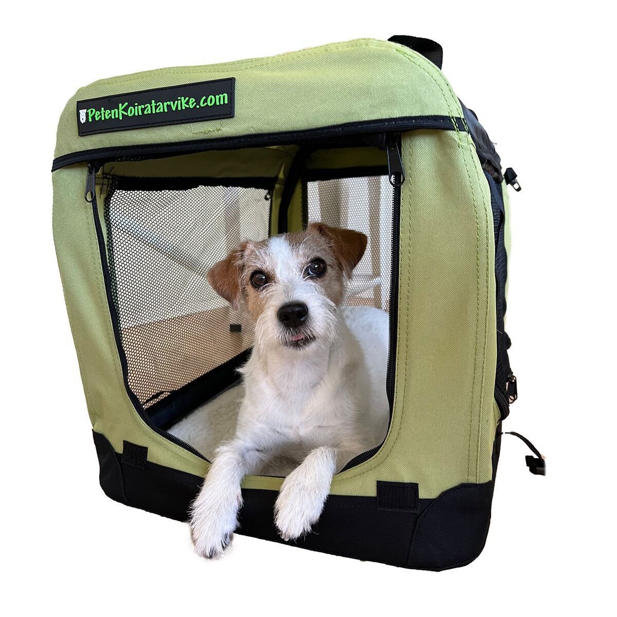 Kevythäkki PetEasy saniainen