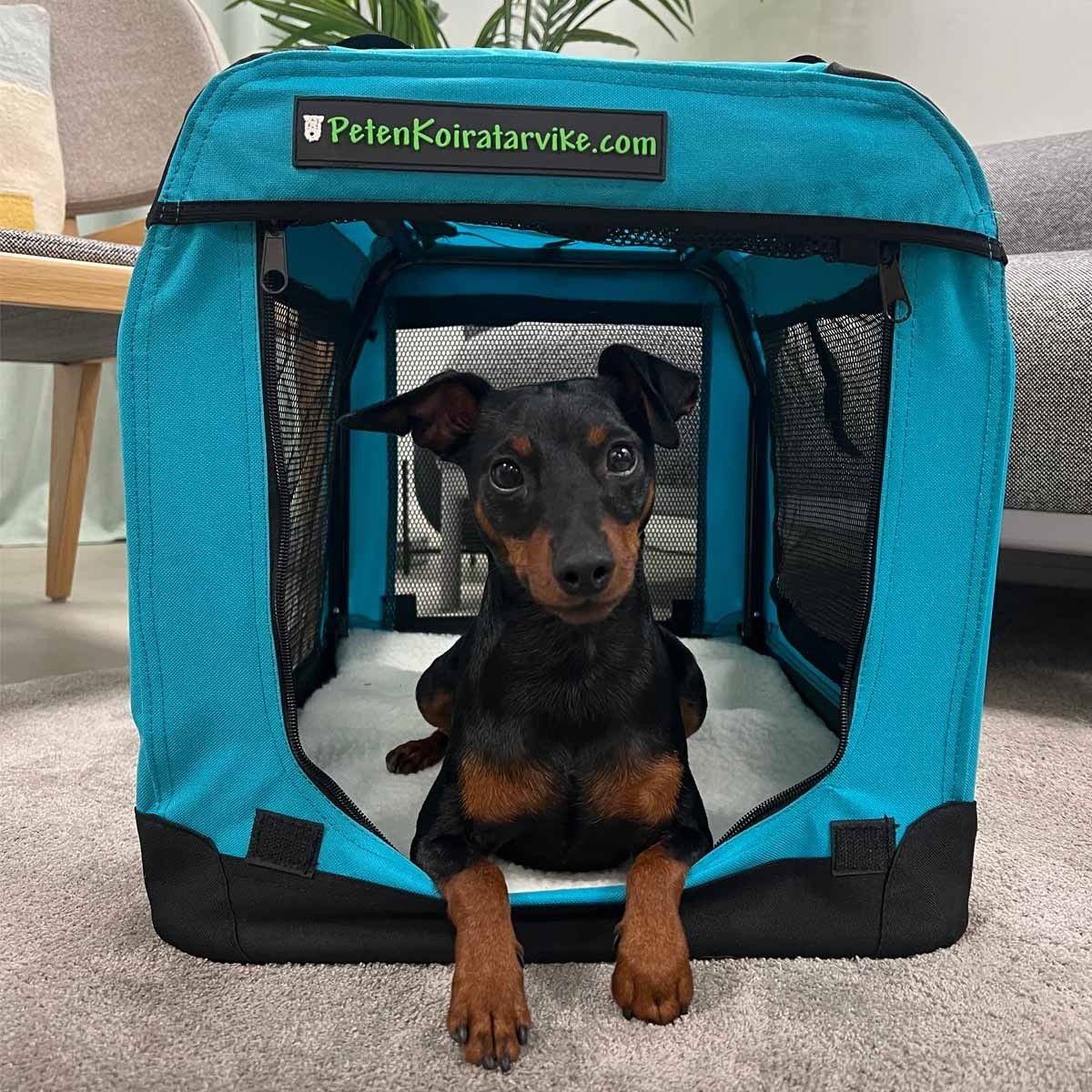 Kevythäkki koiralle PetEasy, sininen