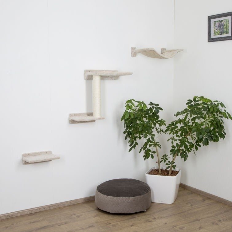 Kissan kiipelyseinä Zugspitze