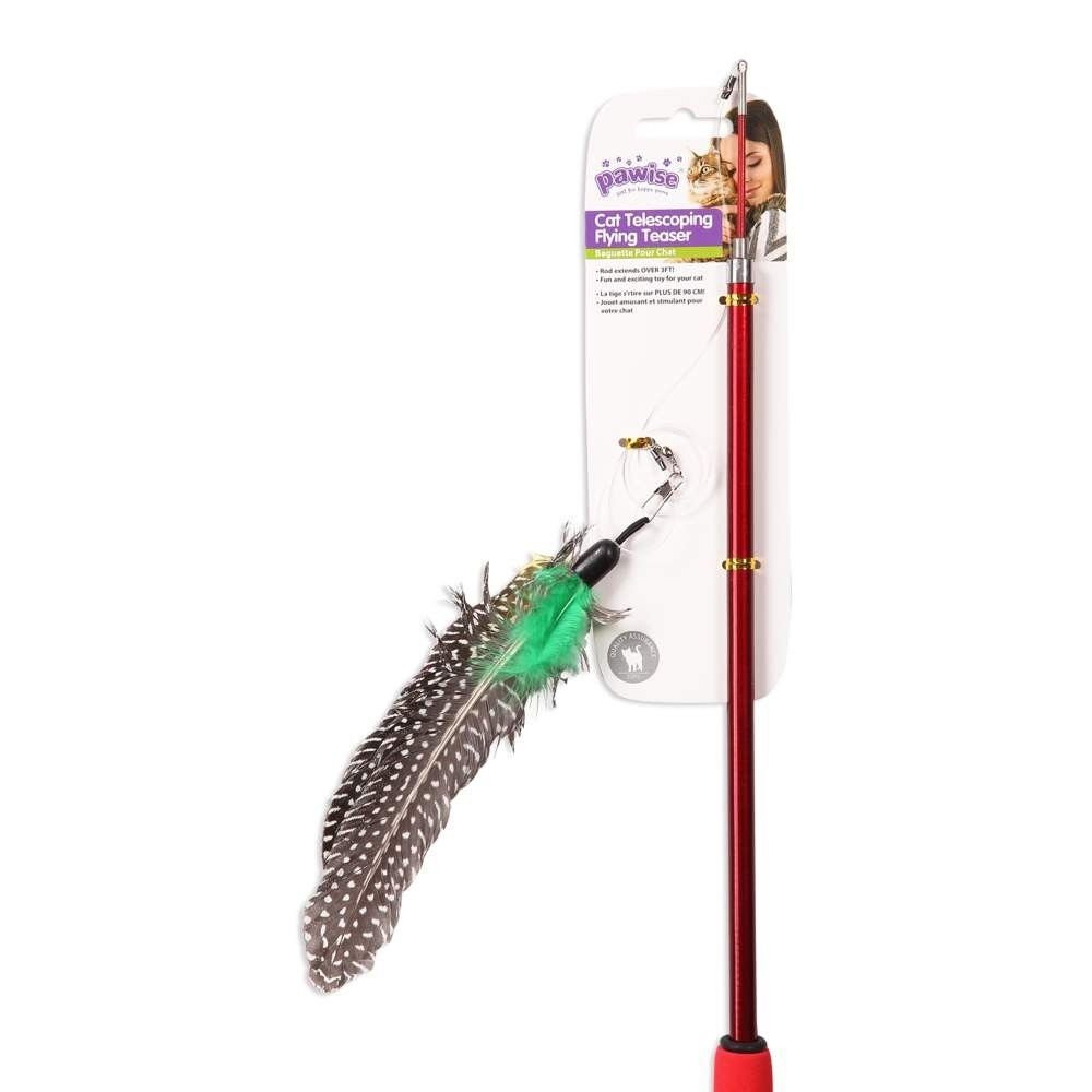 Kissan teleskooppionki Pawise siimalla