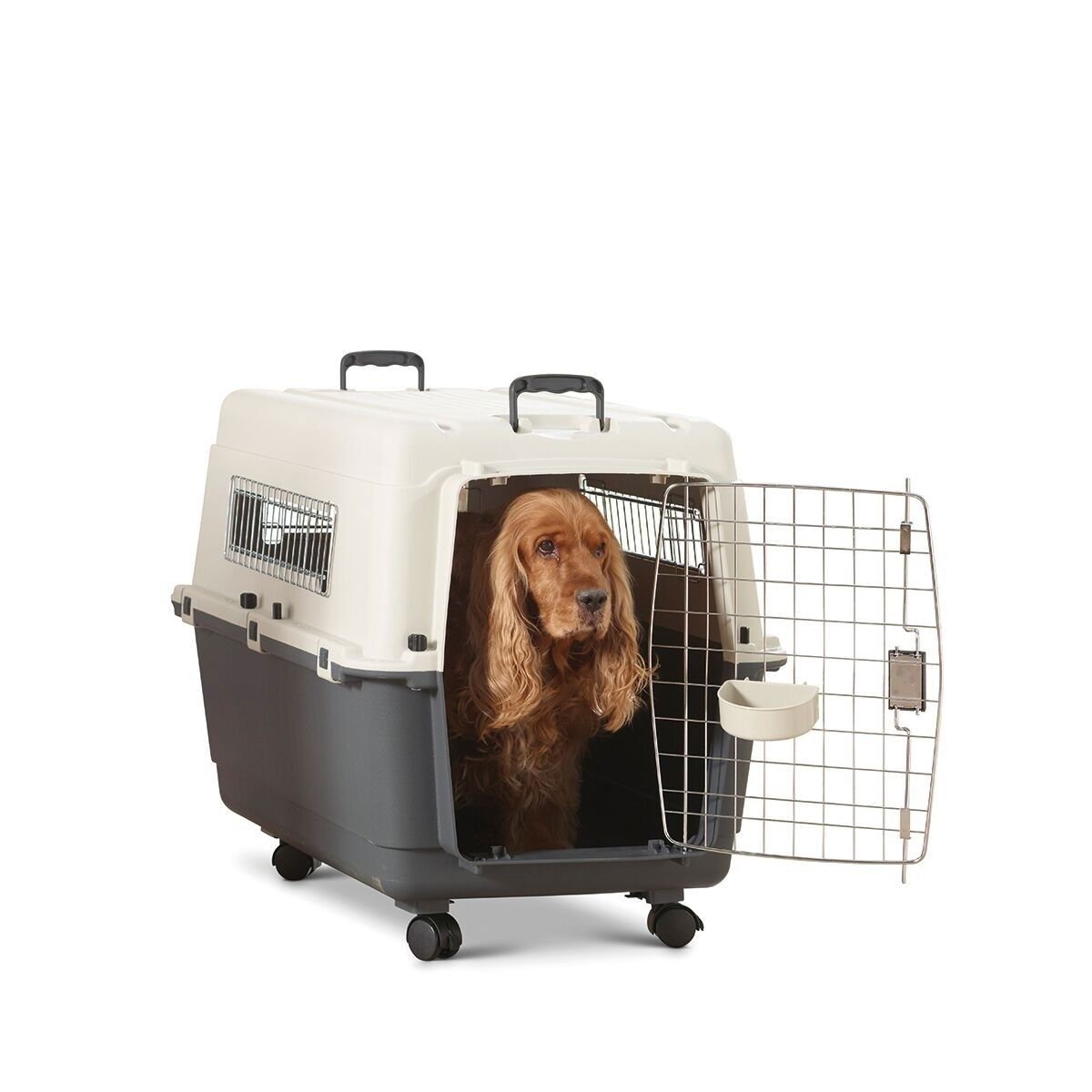 Lentohäkki Savic Andes