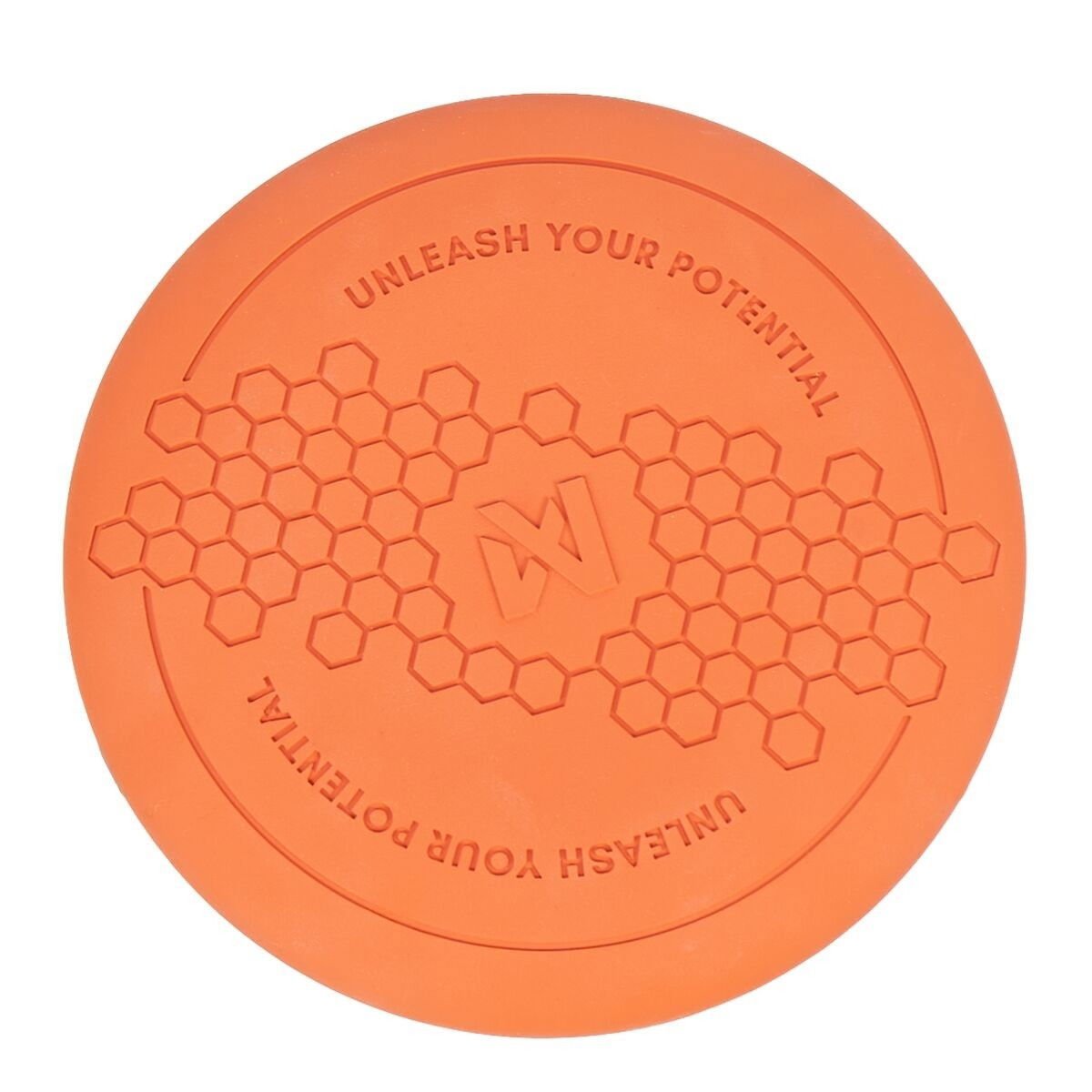 Non-Stop Dog Frisbee