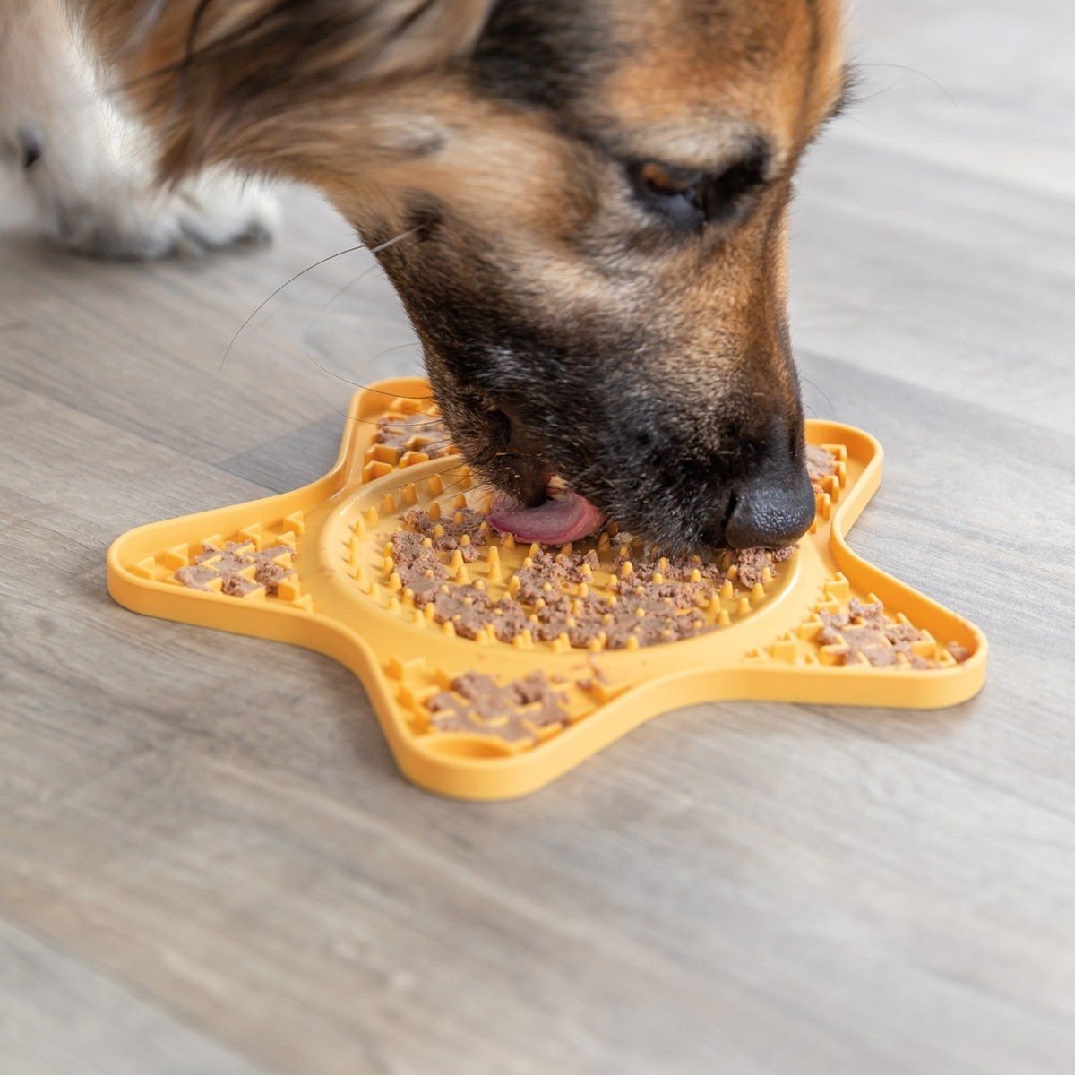 Nuolumatto koiralle Trixie Lick'n'Snack, 23,5 cm