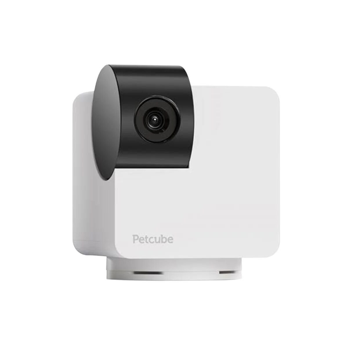 Lemmikkikamera PetCube Cam 360