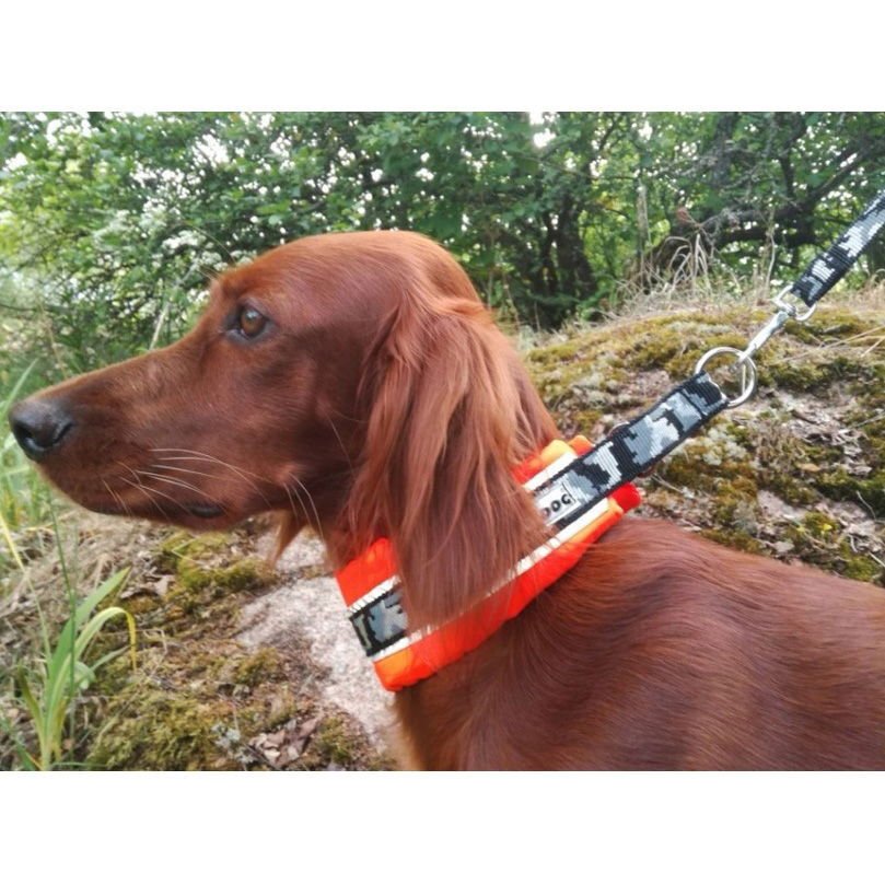 Puolikiristävä leveä panta Kardog Hilma, oranssi