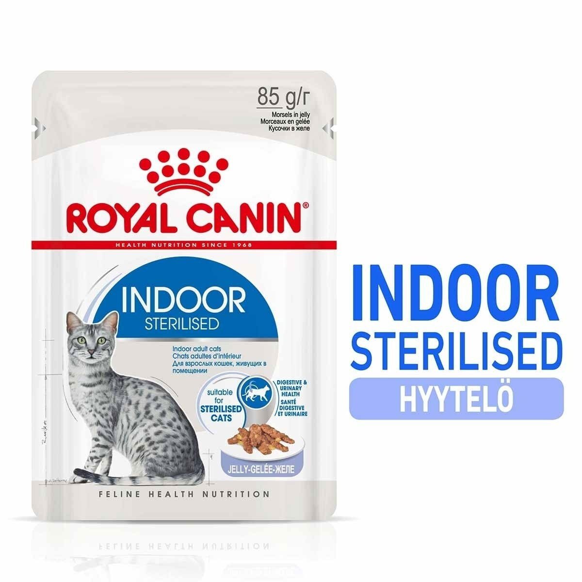 Royal Canin Indoor Jelly 12 x 85 g