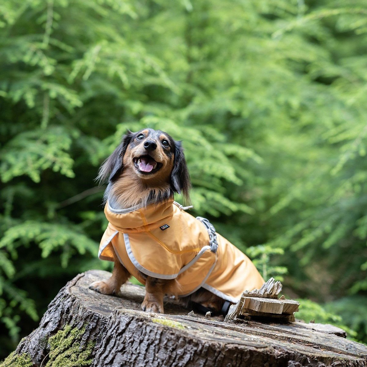 Viilennystakki koiralle Rukka Crisp UV