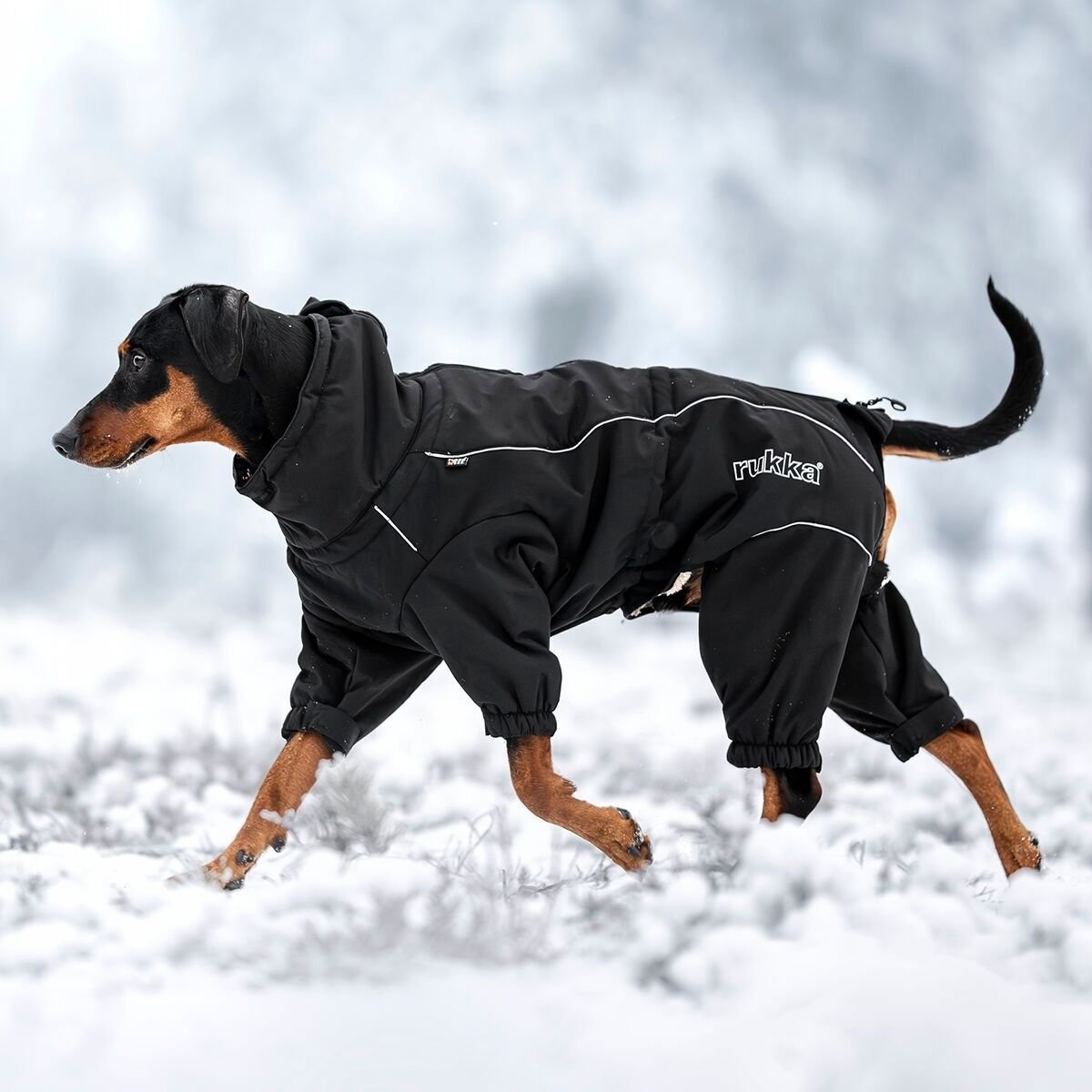 Koiran talvihaalari Rukka Thermal 2.0, musta