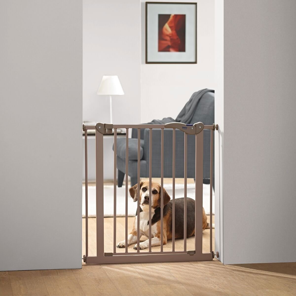 Lemmikkiportti Savic