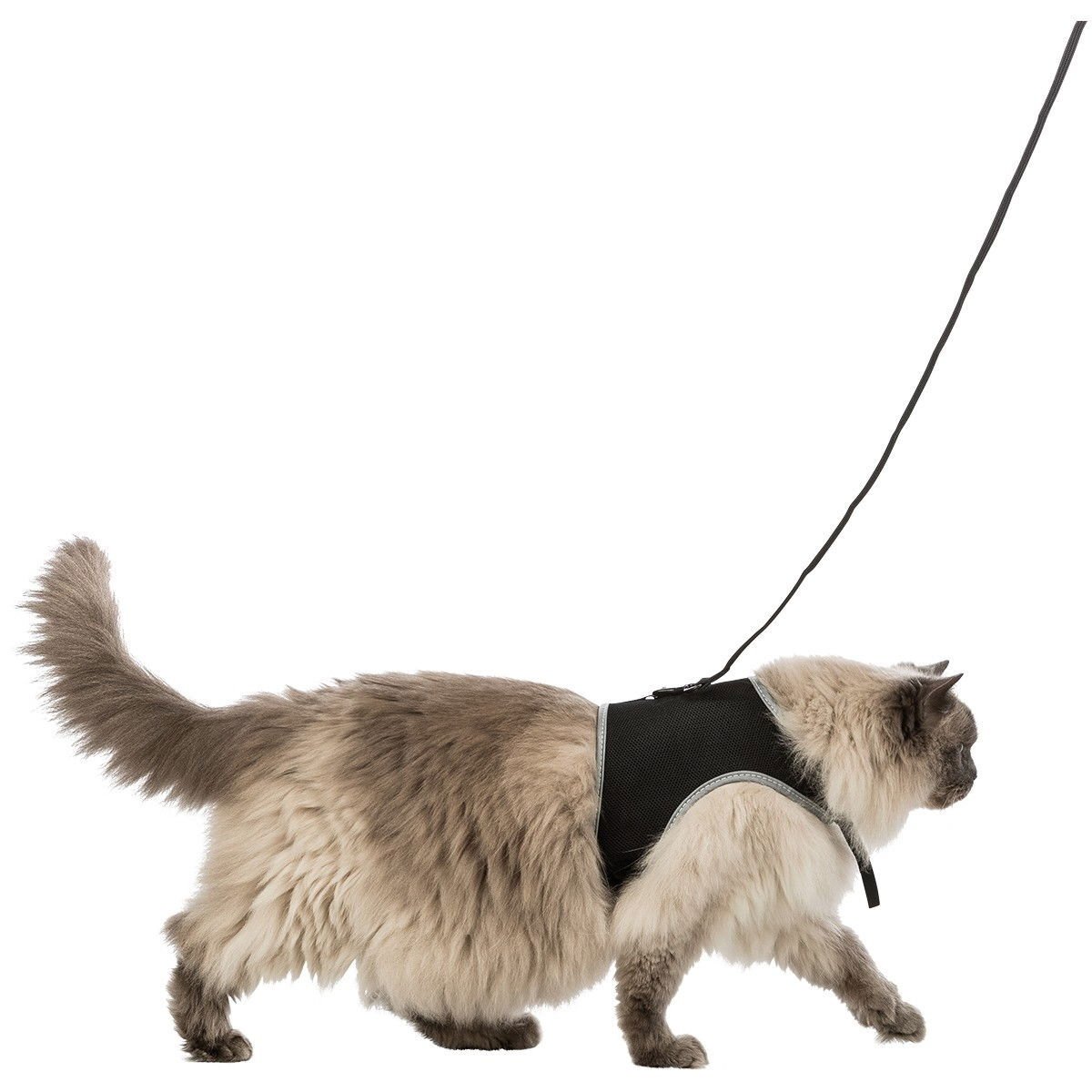 Kissan soft-valjas hihnalla XL Trixie