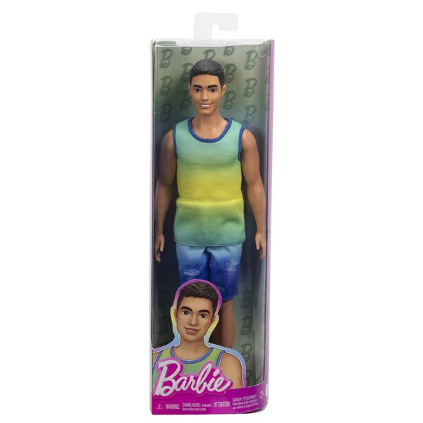 Nukke Mattel Barbie Kenas HYV00, 30 cm