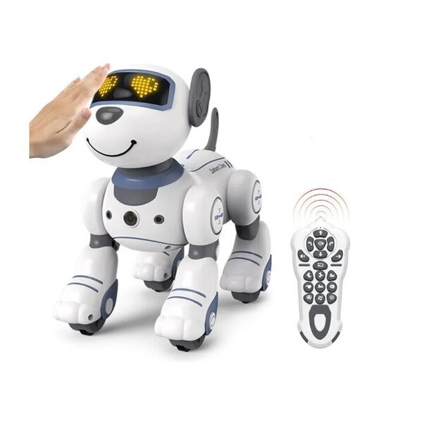 Radio-ohjattava robottikoira, RC robot dog