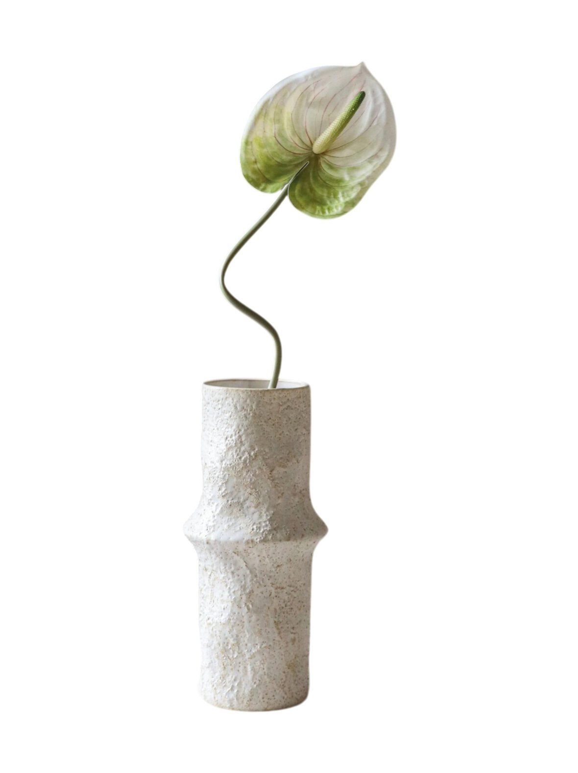 Light green anthurium -koristekukka