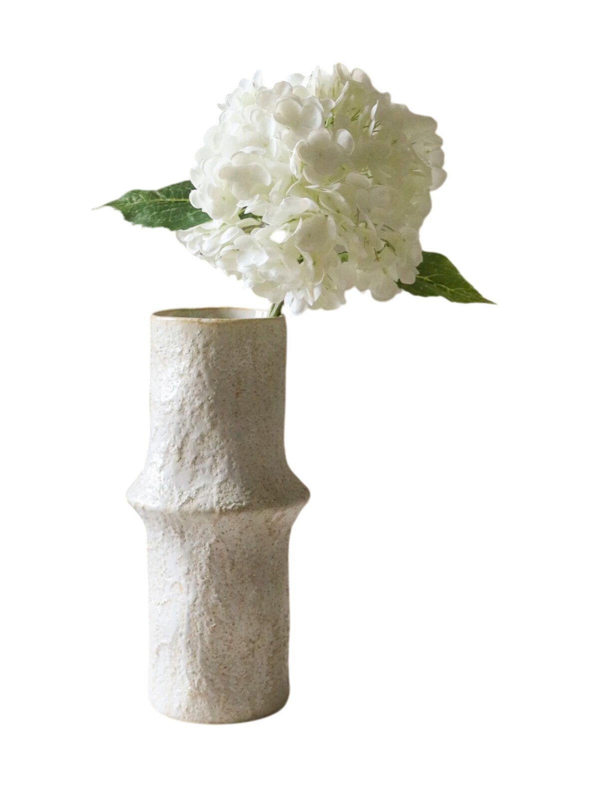 White hydrangea -koristekukka