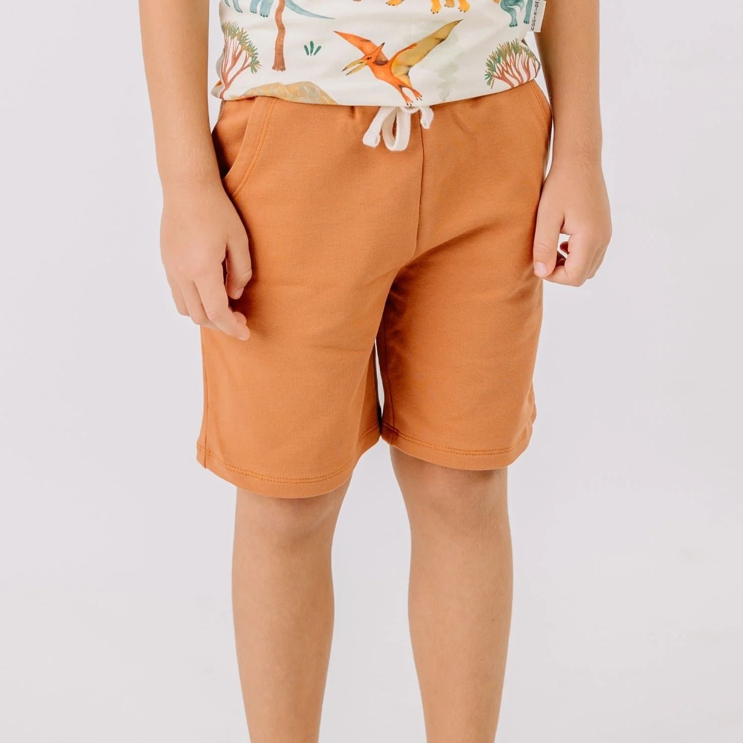 Cocoa Dream Shorts Brown