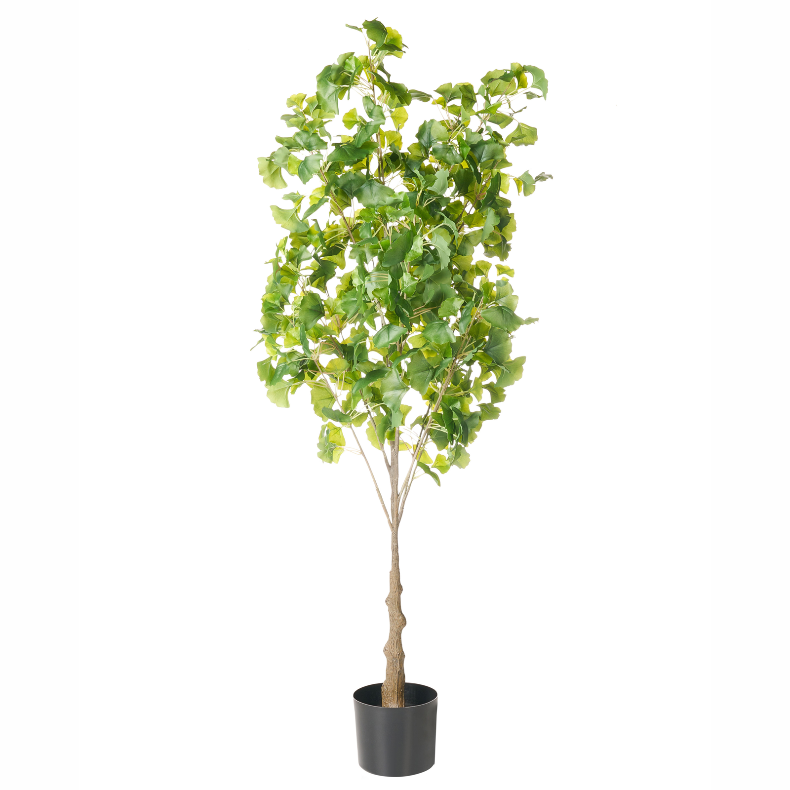 Tekokasvi  GINKGO TREE 150 cm Vihreä