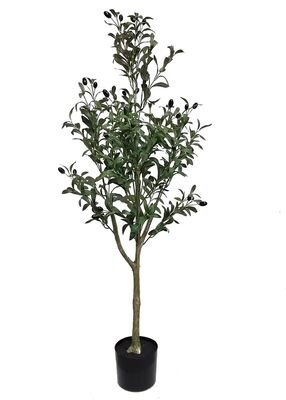 Oliivipuu (130 cm)