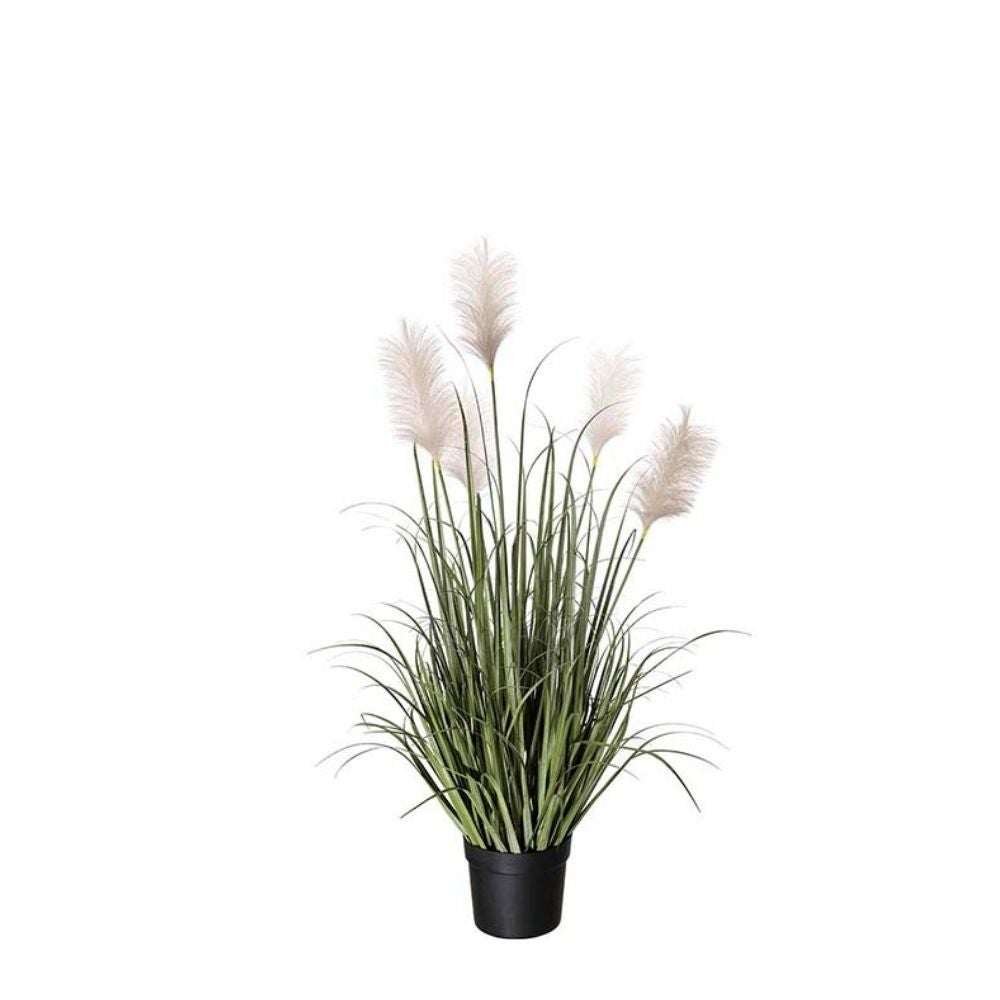Mr Plant, Ruoho 130cm