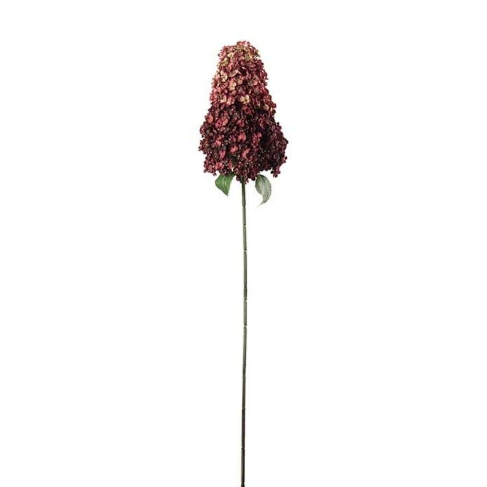 Mr Plant, Syreenihortensia Burgundy 128 cm