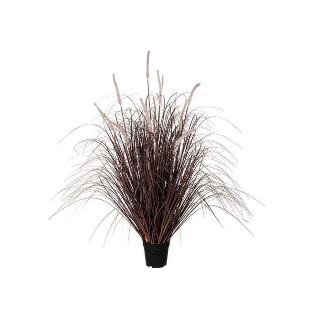 Mr Plant, Grass Burgundy 90 cm