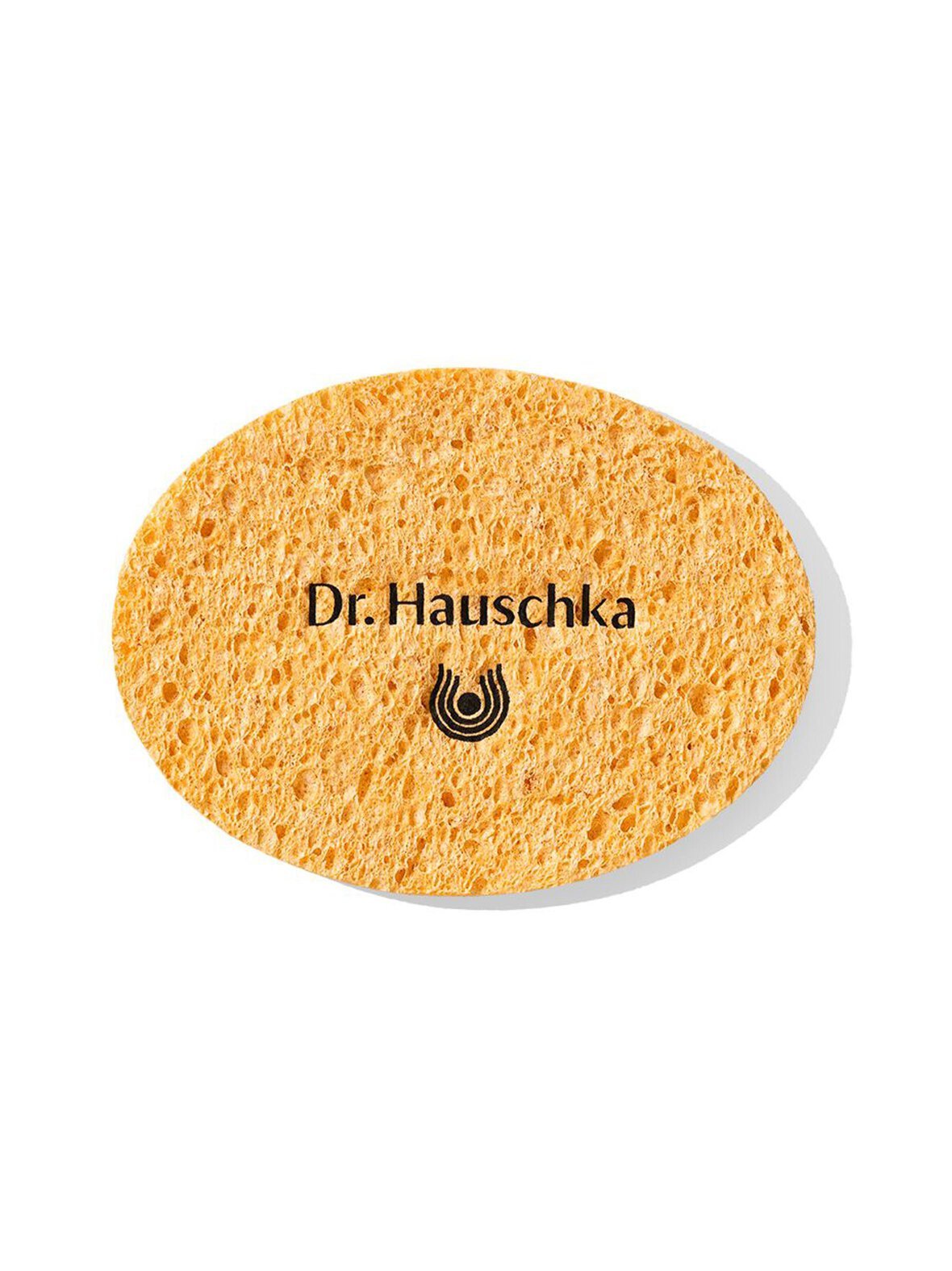 Puhdistussieni