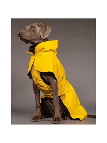 Visibility raincoat lite yellow for dogs