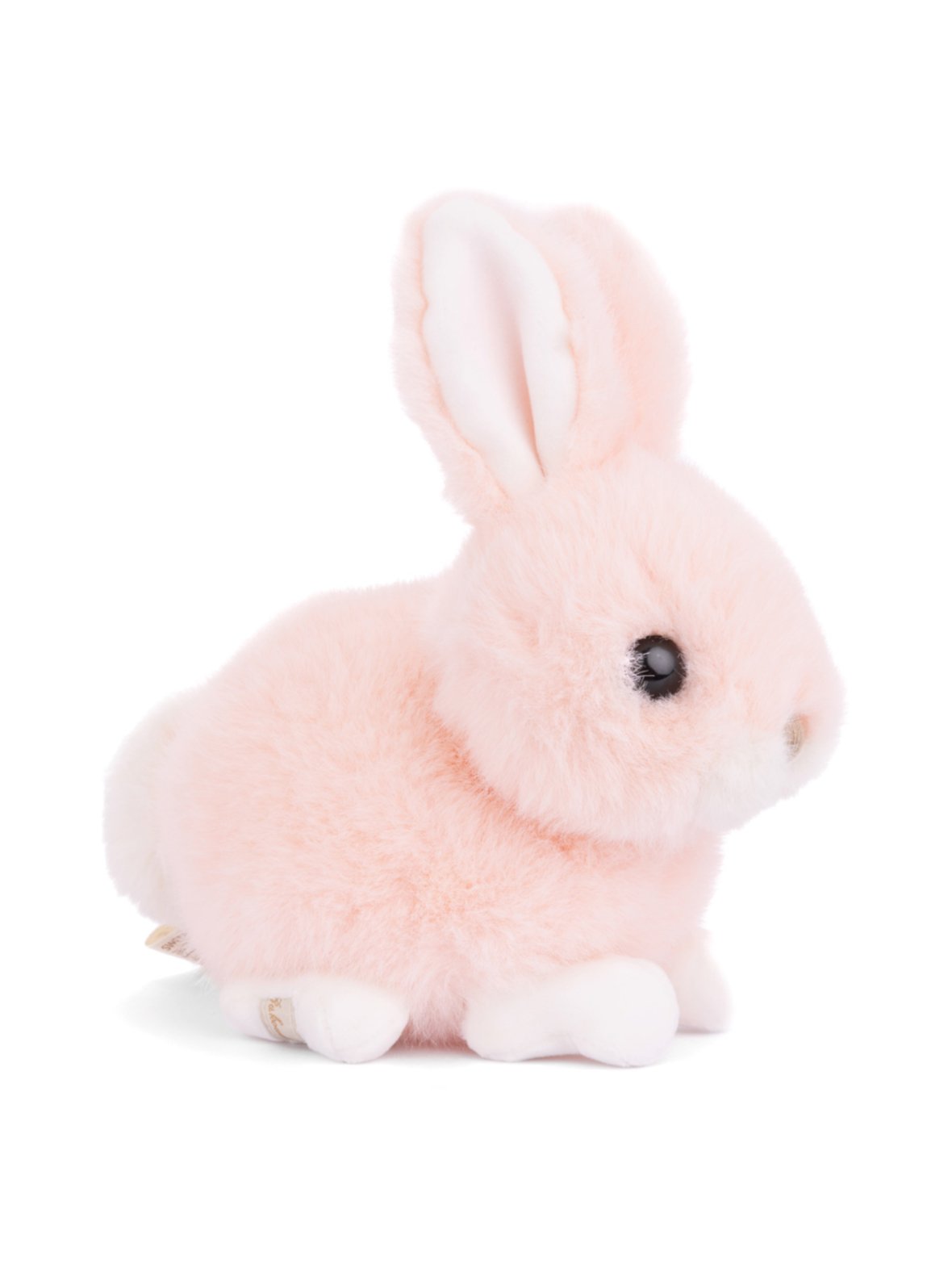 Bukowski pehmopupu sloane, persikan värinen, 15 cm