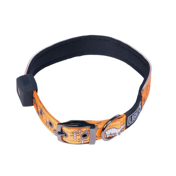 Kaulapanta Light5 Doggo Led Collar, Oranssi, L