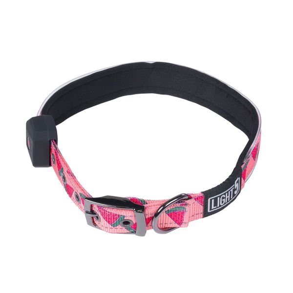 Kaulapanta Light5 Doggo Led Collar, Pink, M