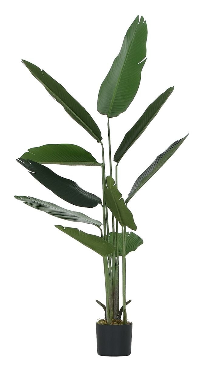 Kolibrikukka tekokasvi 160 cm vihreä