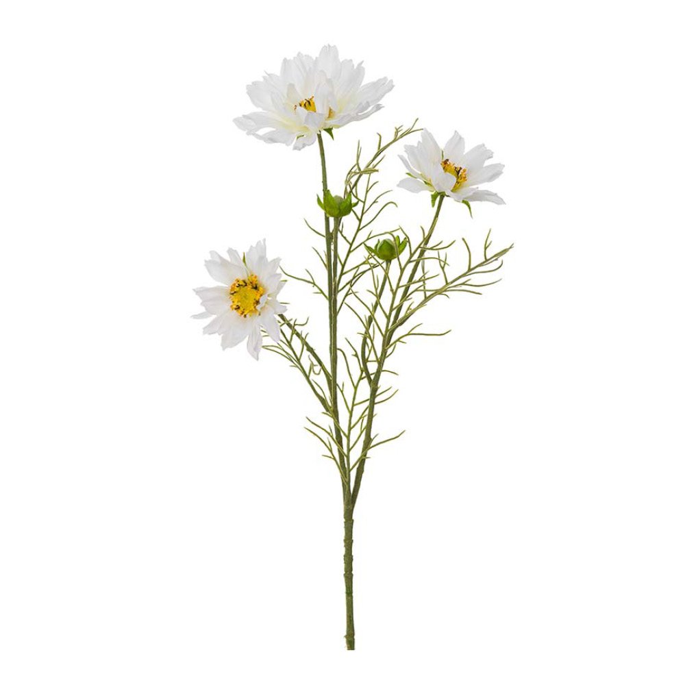 Mr Plant - Tekokukka Punakosmos 55 cm Valkoinen