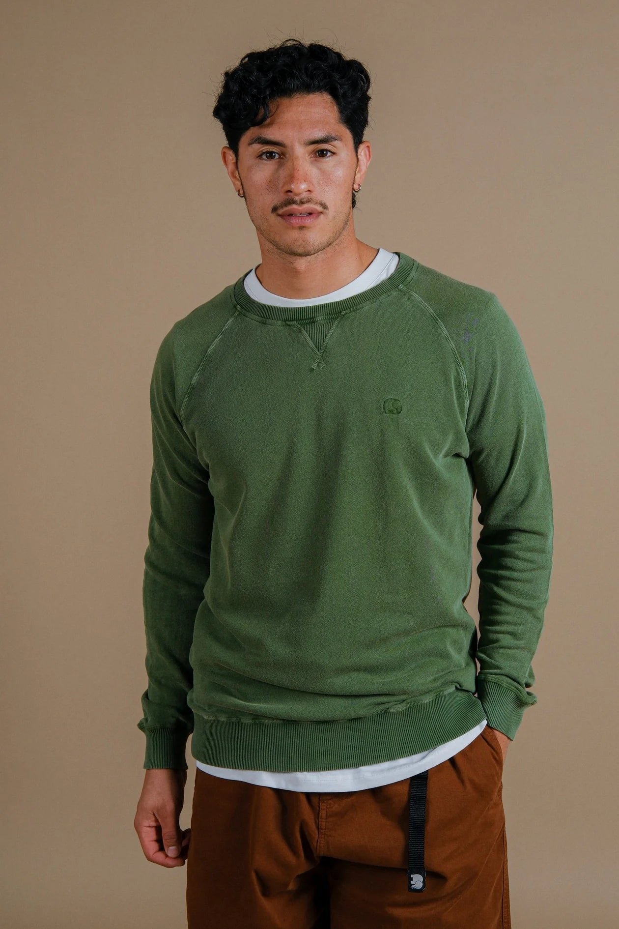 Men's Essential Lightweight Pigment Sweater Pinnas Green