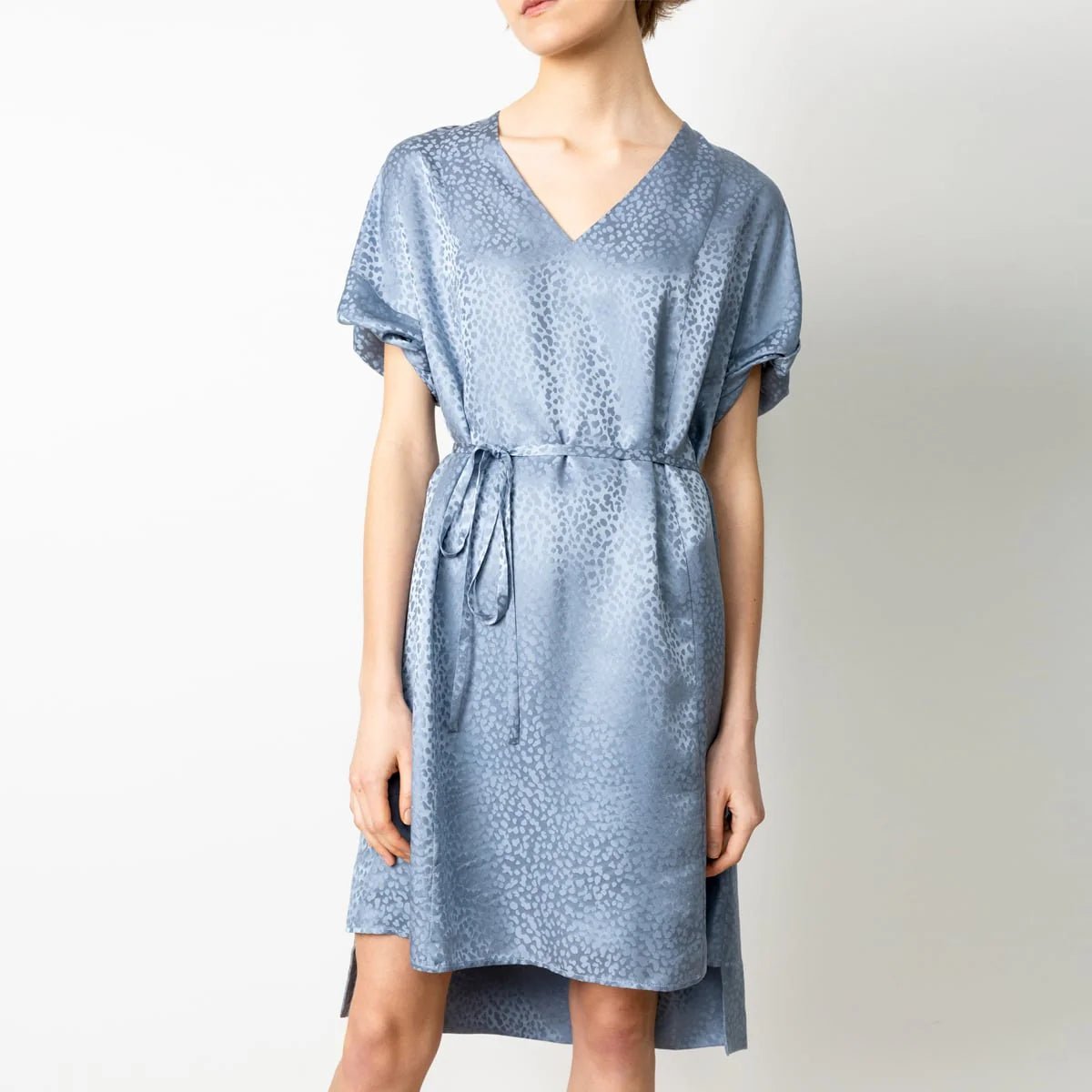 Day Silk Dress Blue Jacquard