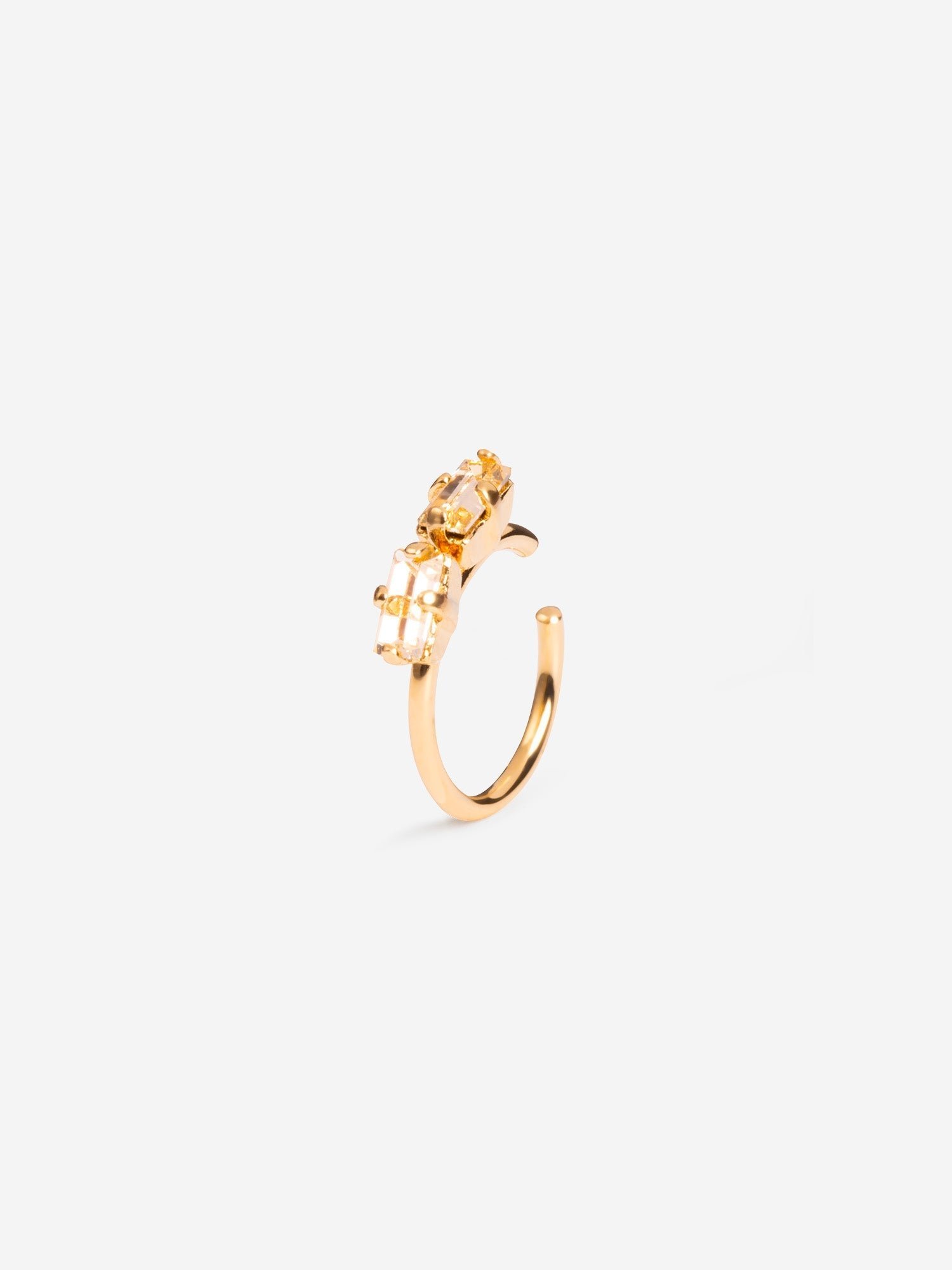 Denis Earcuff Champagne