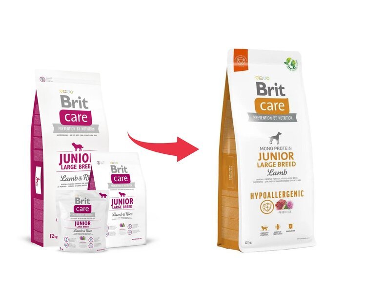 Brit Care nuorille suurirotuisille koirille, hypoallergeeninen, lammasta, 12 kg