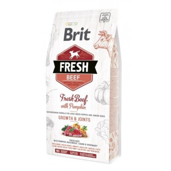Brit Fresh Beef & Pumpkin Puppy Large Bones & Joints täysruokaa koirille 12 kg