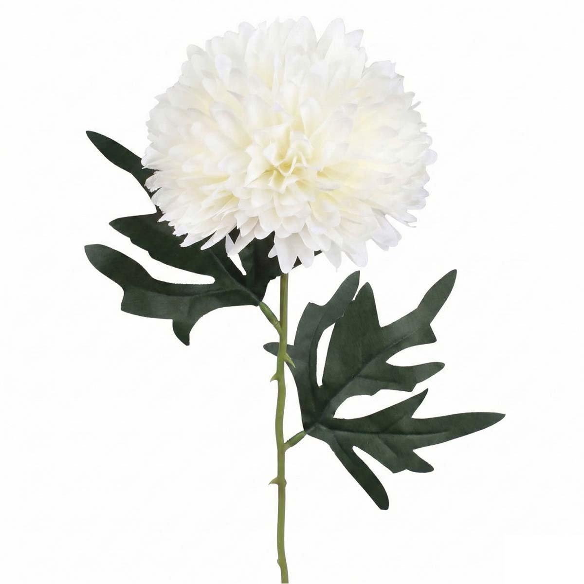 Tekokukka - Kermanvalkoinen krysanteemi, 55cm