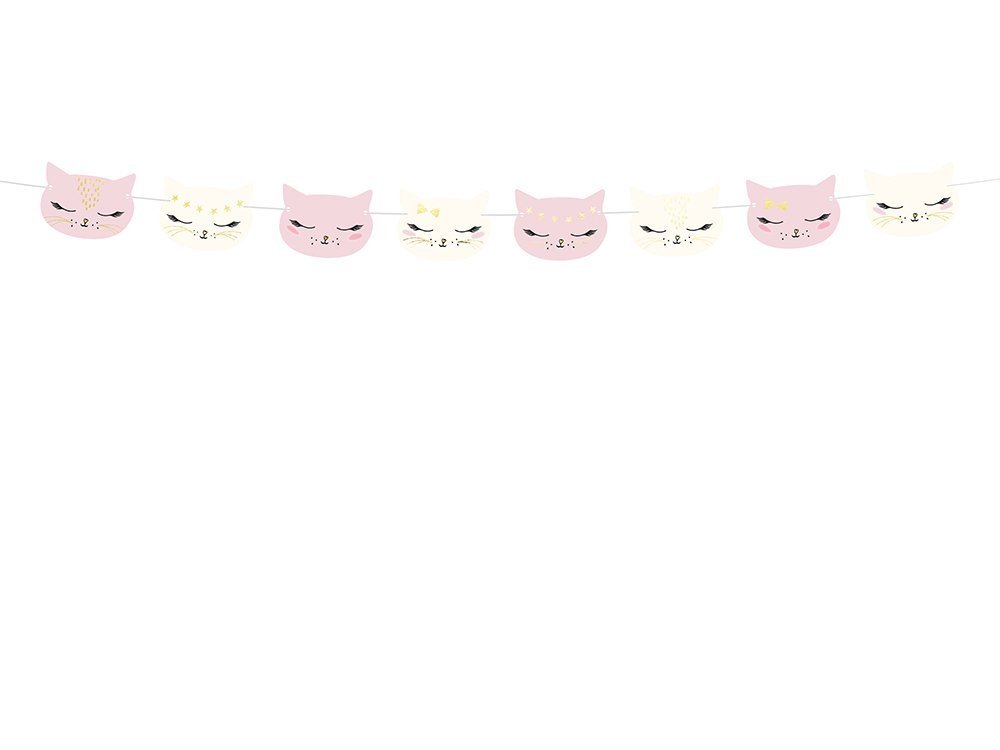 Viiri Cat