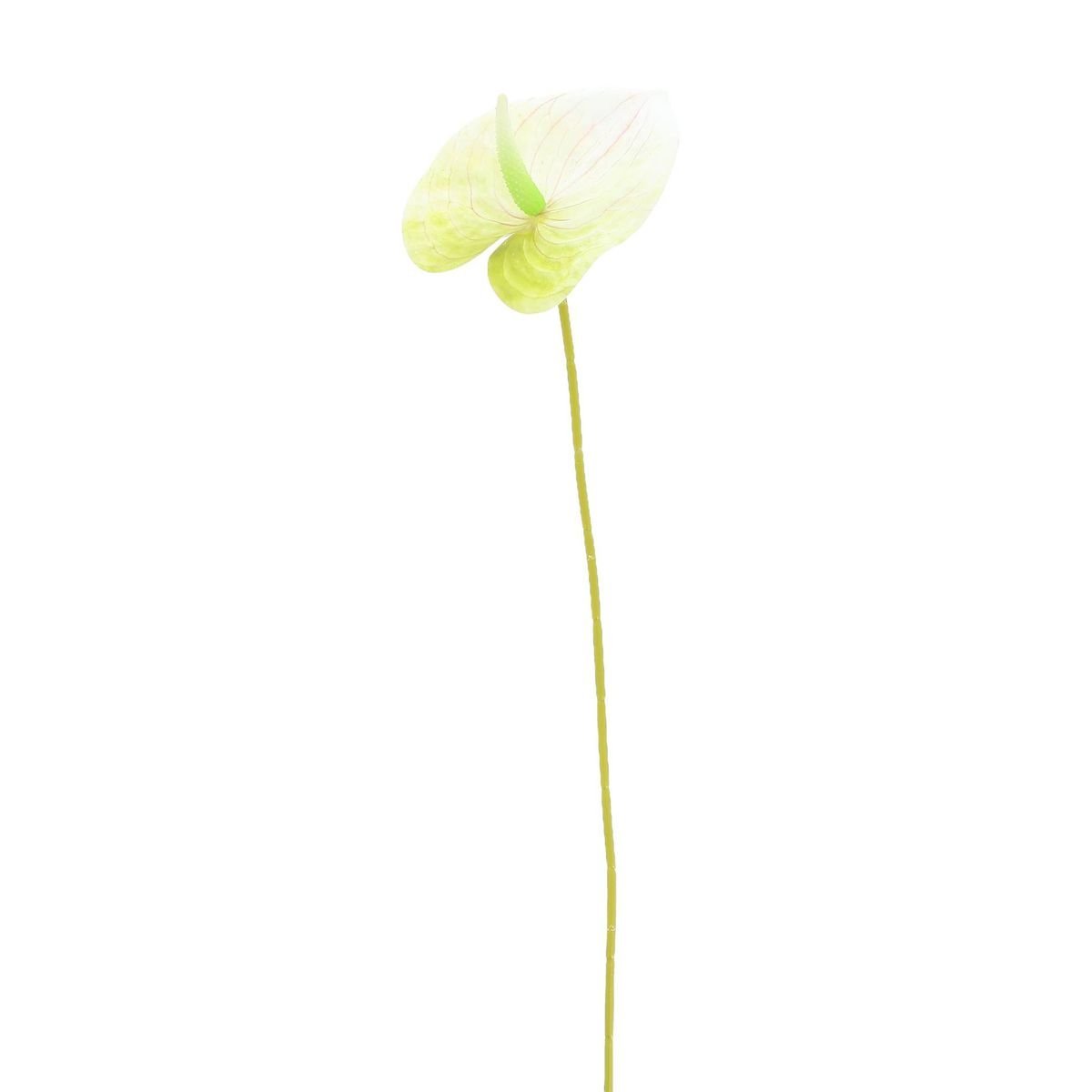 Tekokukka - Flamingokukka, vaaleanvihreä, 61 cm