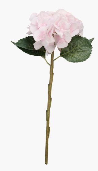 Hyndrangea S kukka roosa