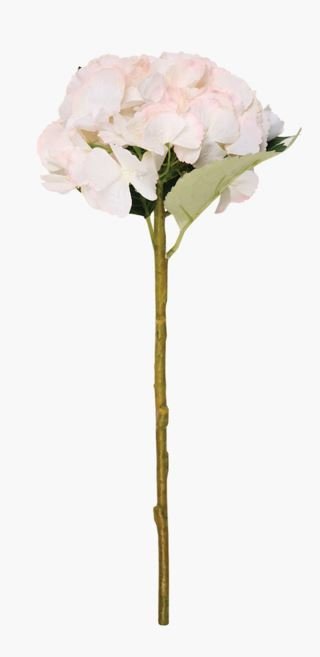 Hyndrangea S kukka vaaleanroosa