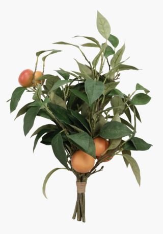 Orange Kukkakimppu oranssi