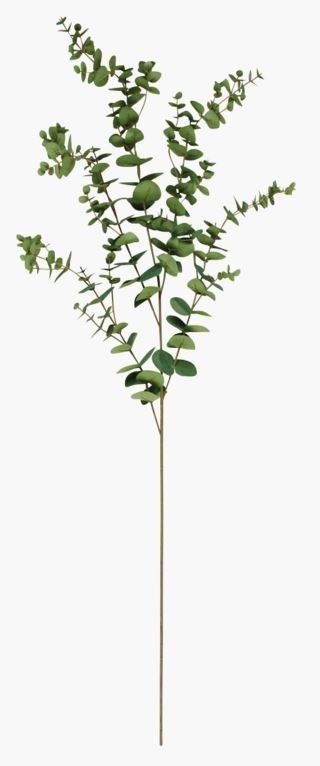 Eucalyptus extra big oksa vihreä